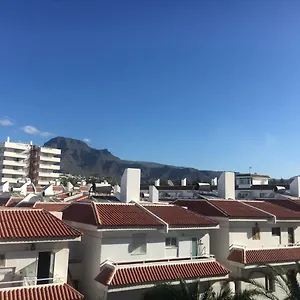 Tajinaste , Playa de las Americas (Tenerife) Spain